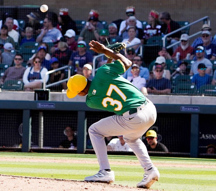 CJCxARZ: Best Photos from the 2025 Spring Training Trip
